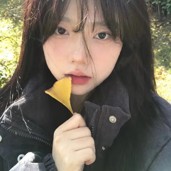 兔子的月亮